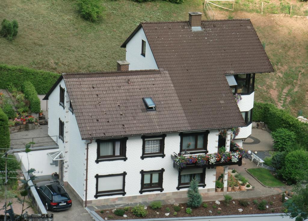 Ferienwohnung Uli Schaetzle Hornberg Eksteriør billede